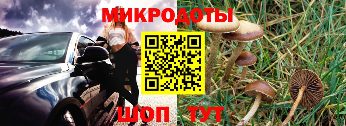 Киреевск  Псилоцибиновые грибы Magic Shrooms  купить   Псилоцибиновые грибы Psilocybe  Вход с VPN 