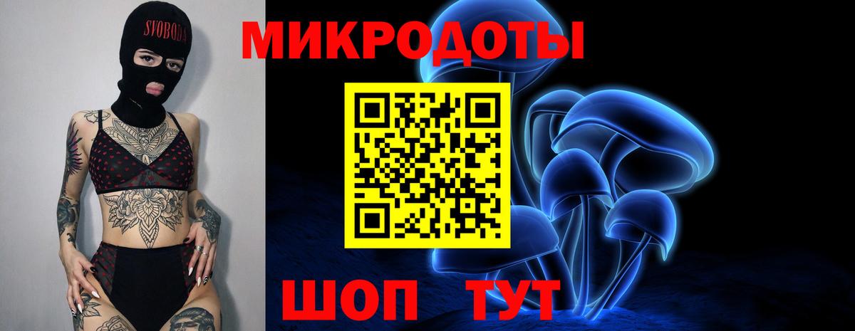 Псилоцибиновые грибы Cubensis Киреевск